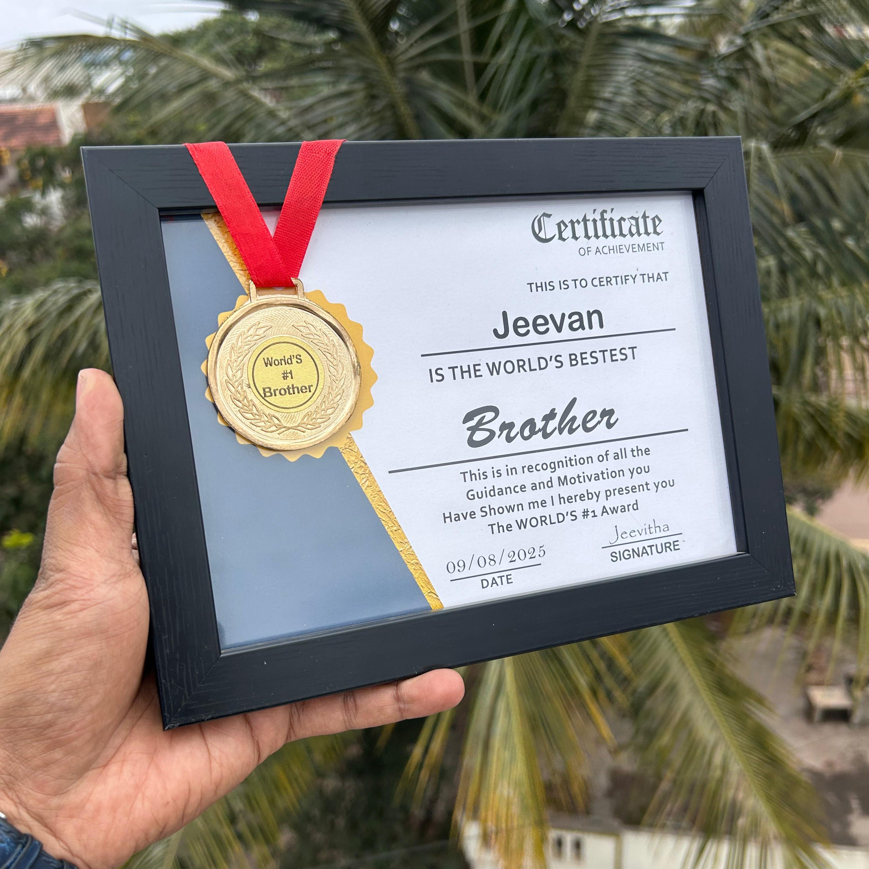 Hand holding a framed certificate with a gold medal and red ribbon against a blurred outdoor background.  - The Gifting Era